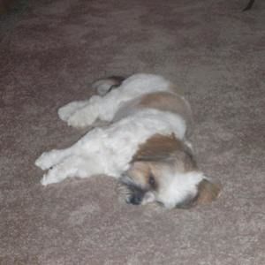 Meet your Posher, Mary